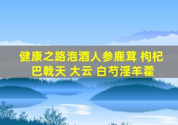 健康之路泡酒人参鹿茸 枸杞 巴戟天 大云 白芍淫羊藿